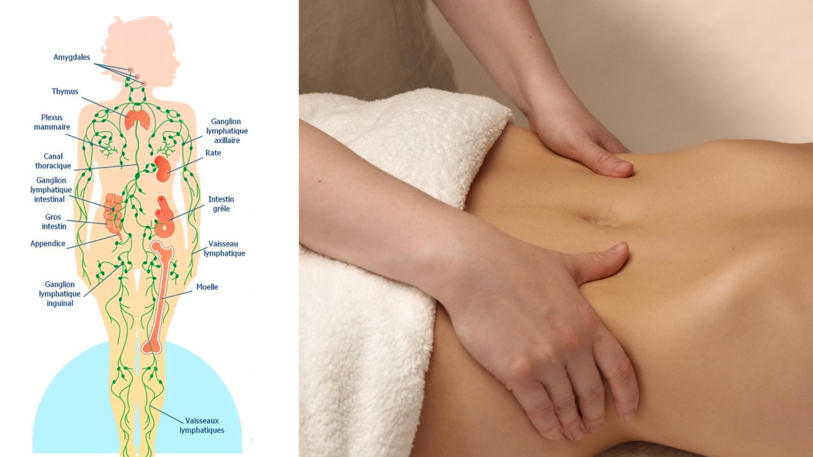 Image du Drainage Lymphatique